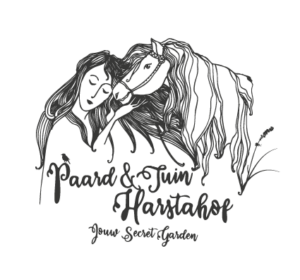 Logo-PTH-2025-geheel-grijs